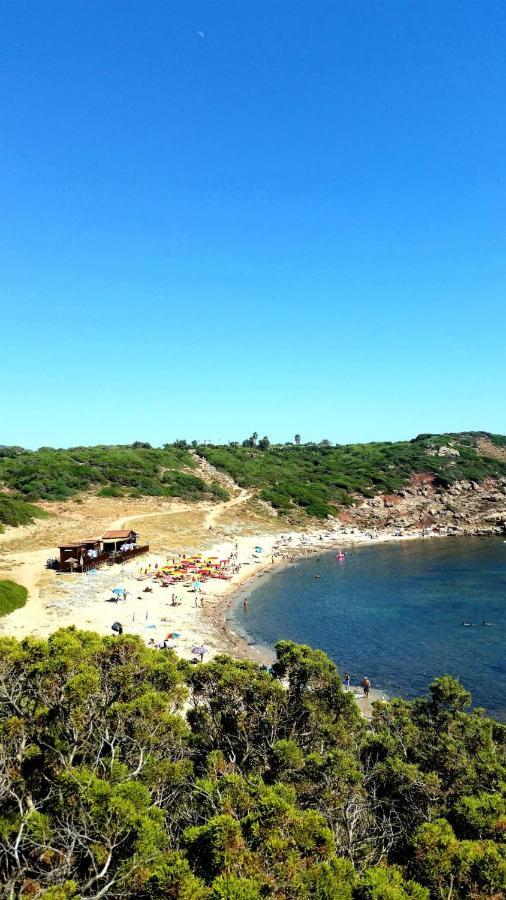 Agriturismo Porticciolo 康特港 外观 照片